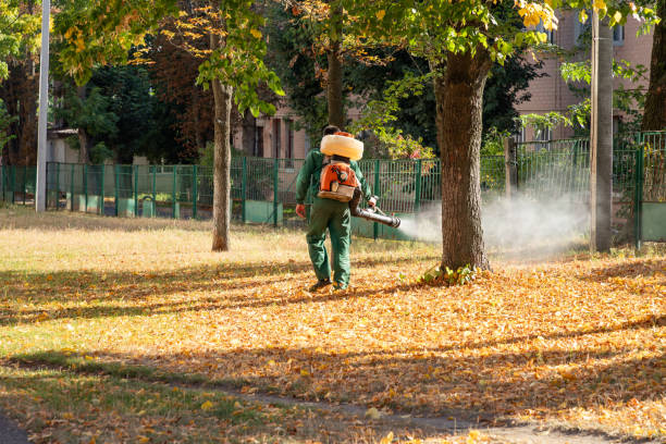 Bird Control in Guttenberg, NJ